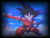 GOKU13.JPG (11447 bytes)